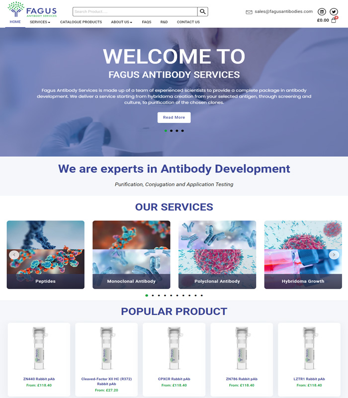 Home 21 Fagus Antibody Services